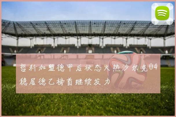 哲科加盟德甲后状态火热沙尔克04稳居德乙榜首继续发力