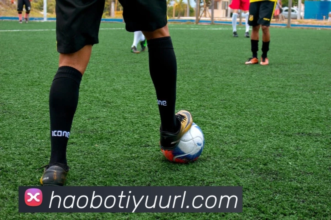 好博体育平台生态图